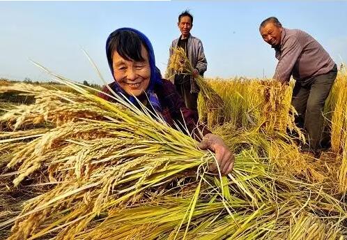 重磅！繼包產(chǎn)到戶之后，我國(guó)農(nóng)村又一次迎來(lái)重大改革